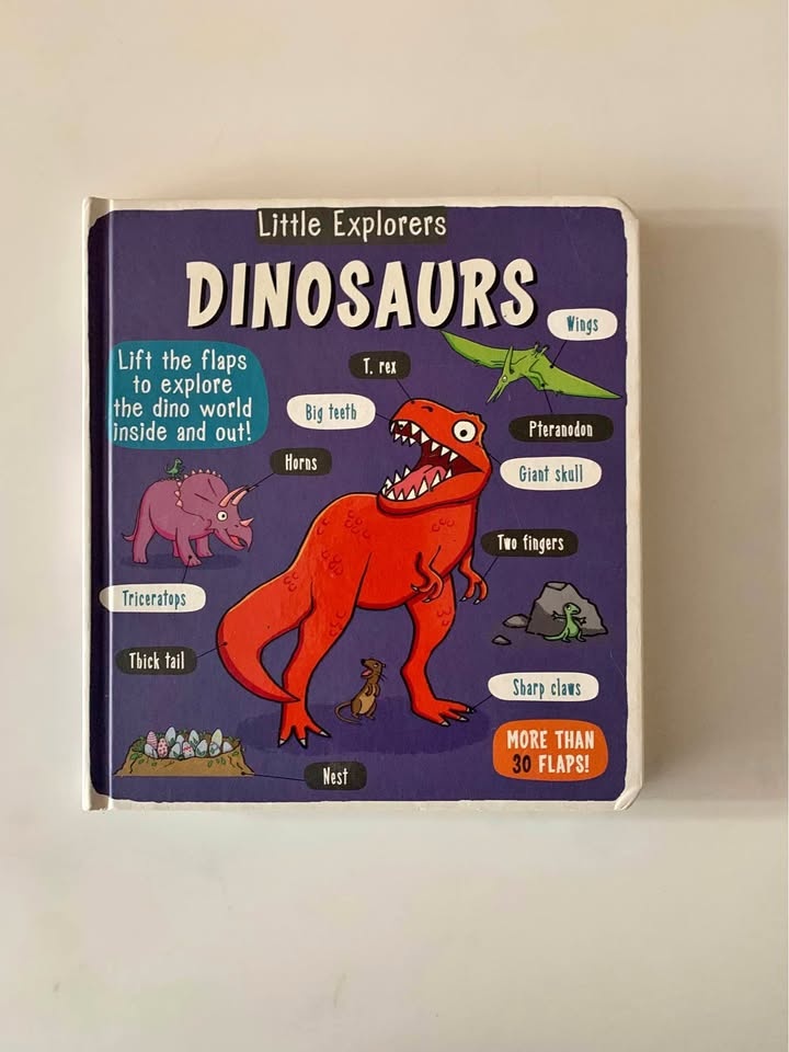 Book Little explorers