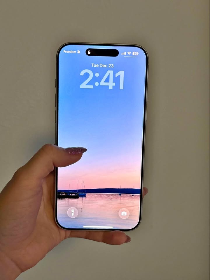 iPhone 17 Pro Max 2 TB Silver