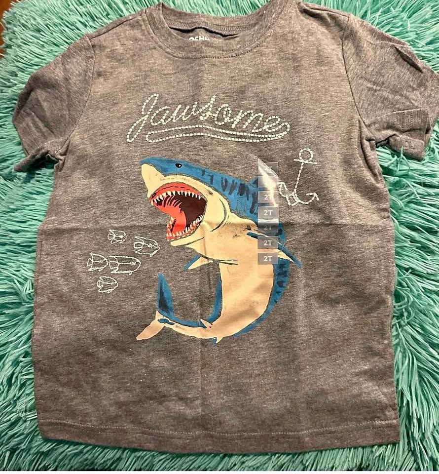BOYS TSHIRT SIZE:2T PRICE:$15