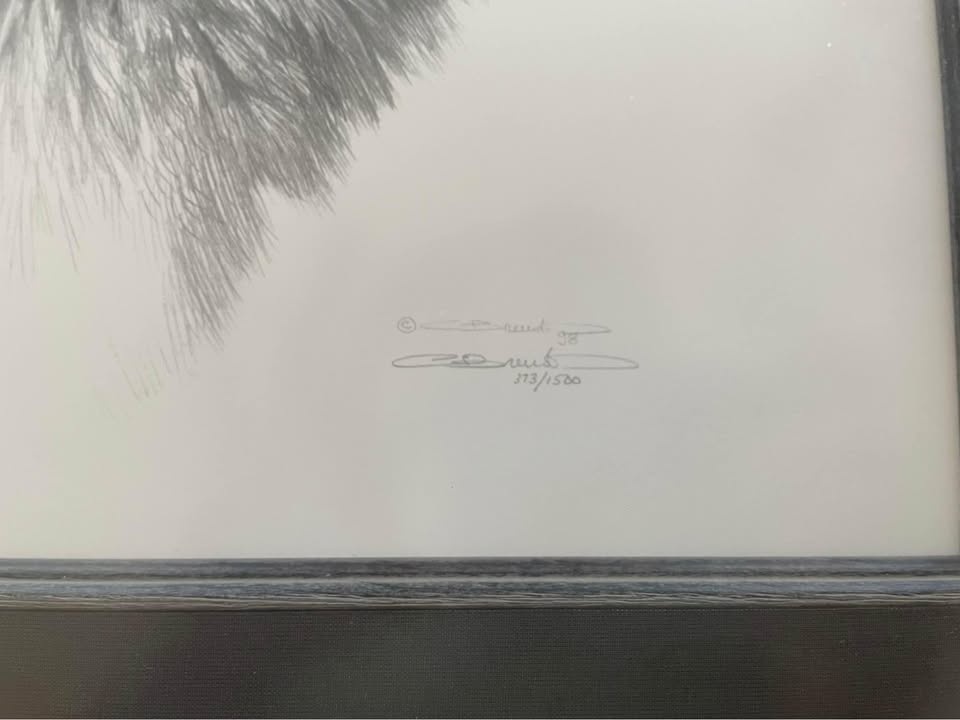 Framed and Signed Limited Edition Carl Brenders - photo 5