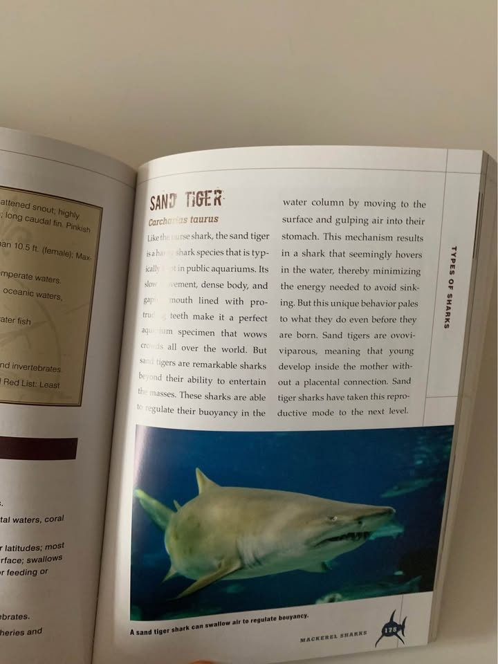 The Shark Handbook - photo 3