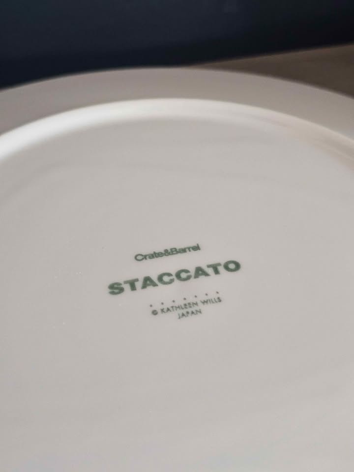 Set of 20 Crate & Barrel "Stacatto" Dinnerware - photo 5