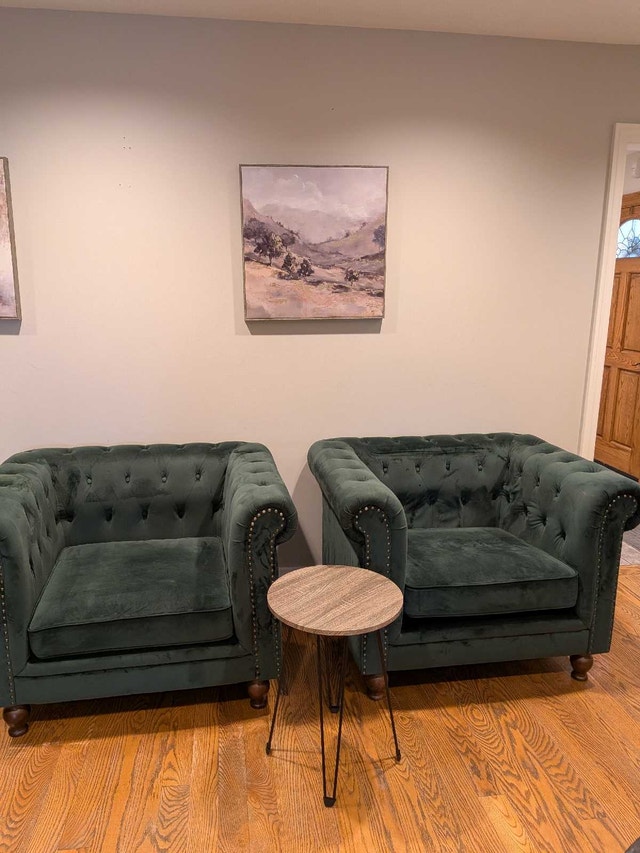 Dark Green Velvet Look Armchair Set of 2