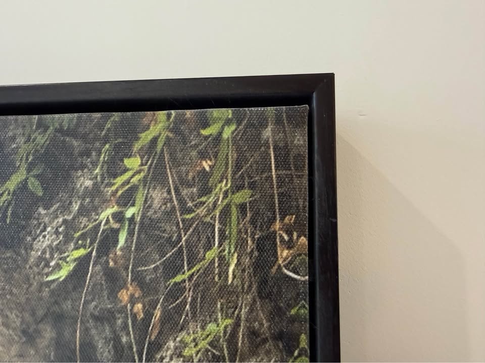 Framed Canvas Art Print Arched Pathway Greenery - photo 4