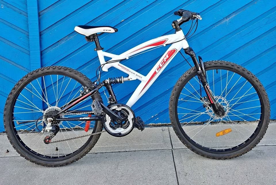19" 21-Speed CCM Alpine Mountain Bike (29200192)