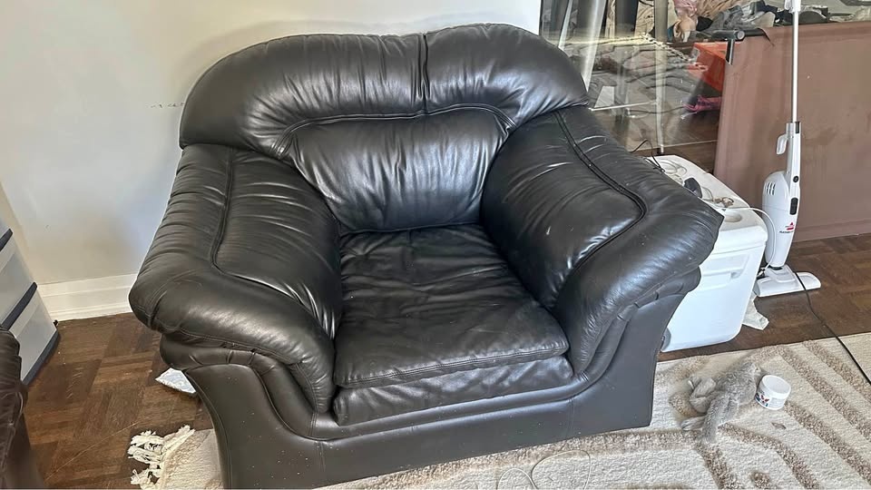 Leather Sofas