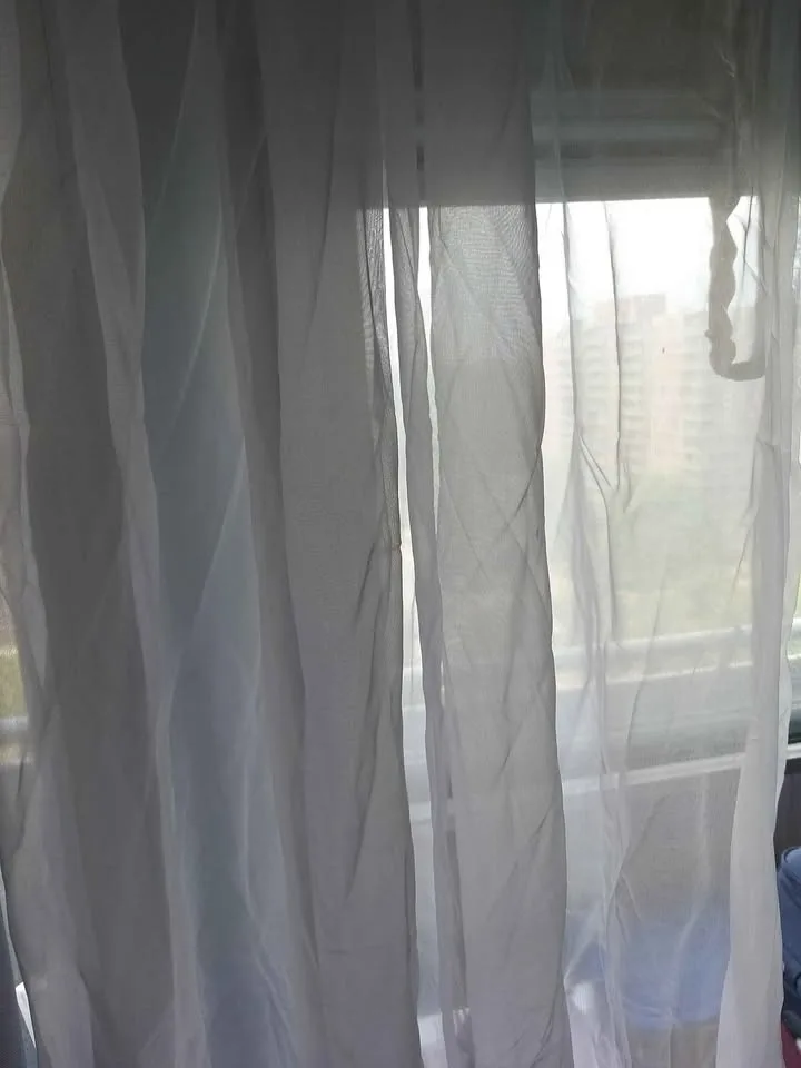 Sheer curtains 95 inch - 2 for $10 image indicator(2)