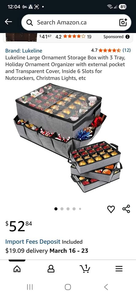 Large Storage box New