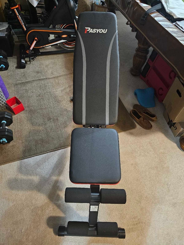 Pasyou workout bench.
