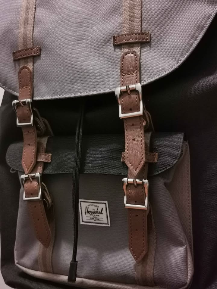 Herschel Laptop Backpack (moving sale - need to go by March 21) - photo 3