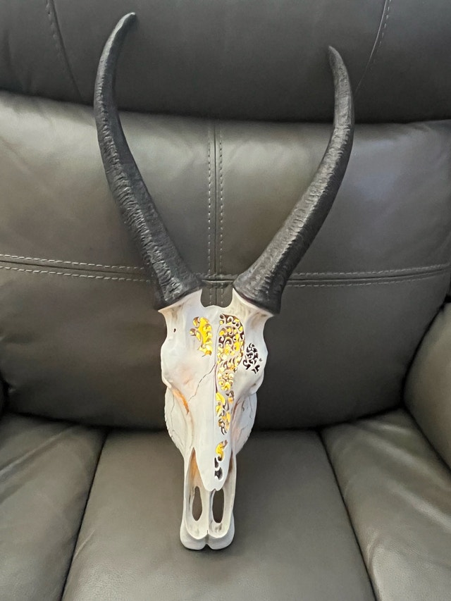 Carved Faux Springbok Antelope Skull with LED Backlight