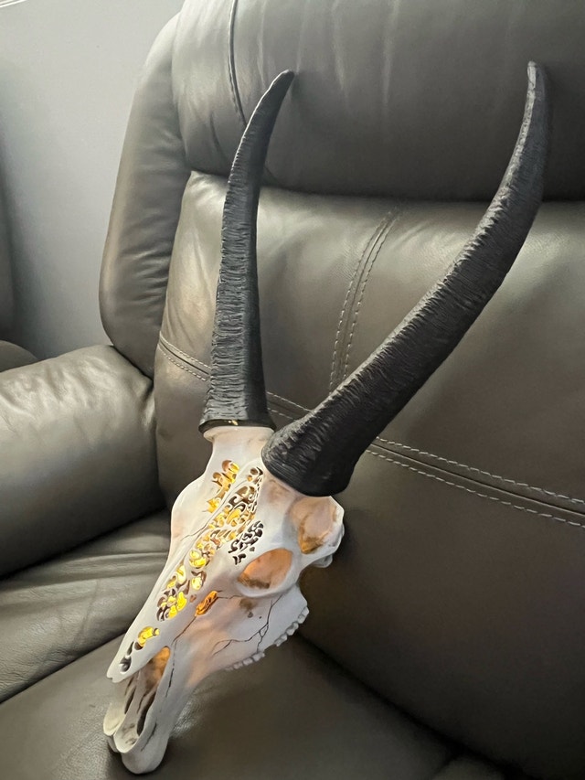 Carved Faux Springbok Antelope Skull with LED Backlight - photo 2