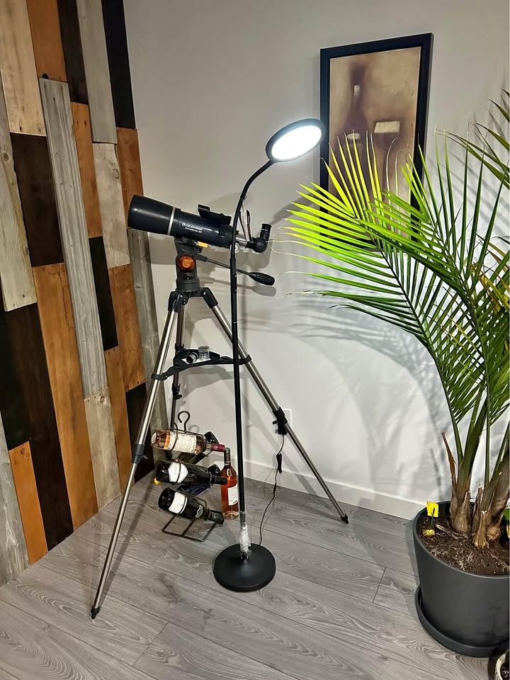 Matte Black Modern Round LED Accent Lamp