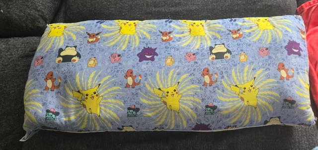 Two Pokemon Body Pillows