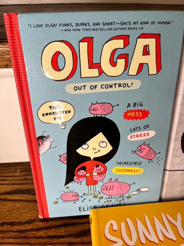 Kids Books Bundle - graphic novel - wimpy kid - Olga - photo 4