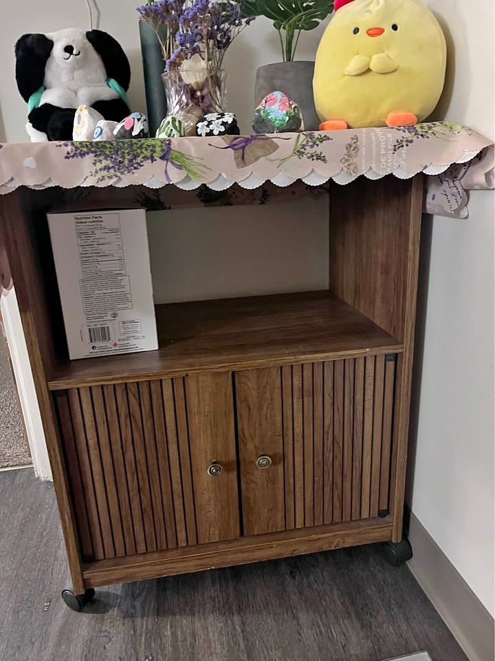 Storage Cabinet with Wheels - Pick up only