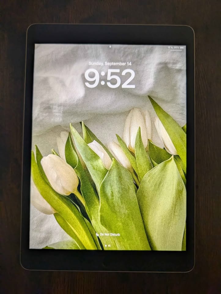 📱 iPad 9th Gen – 64GB (Wi-Fi) – Excellent Condition - photo 2