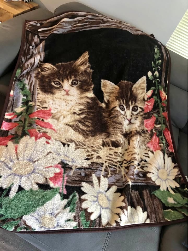 Vintage Cute Kitten Flowers Cozy Blanket