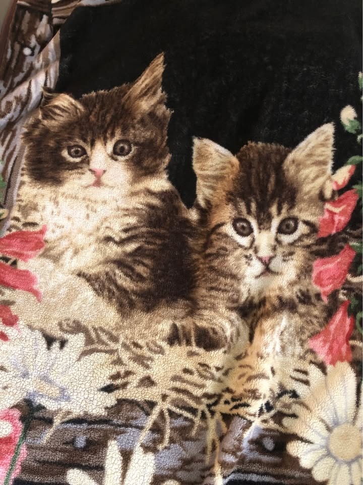 Vintage Cute Kitten Flowers Cozy Blanket - photo 2