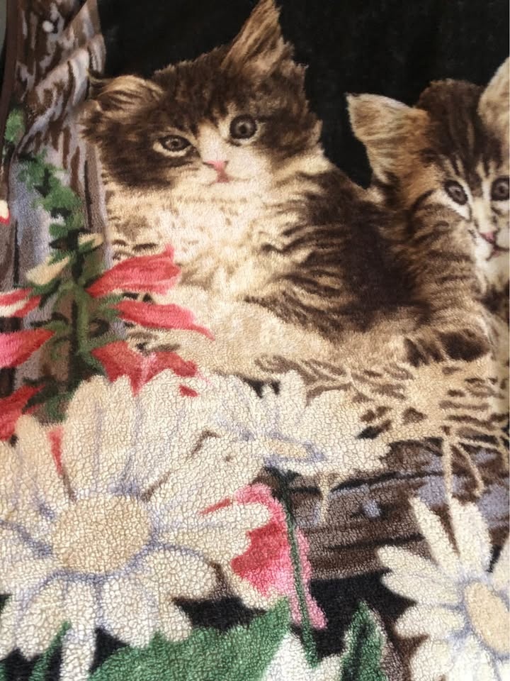 Vintage Cute Kitten Flowers Cozy Blanket - photo 3