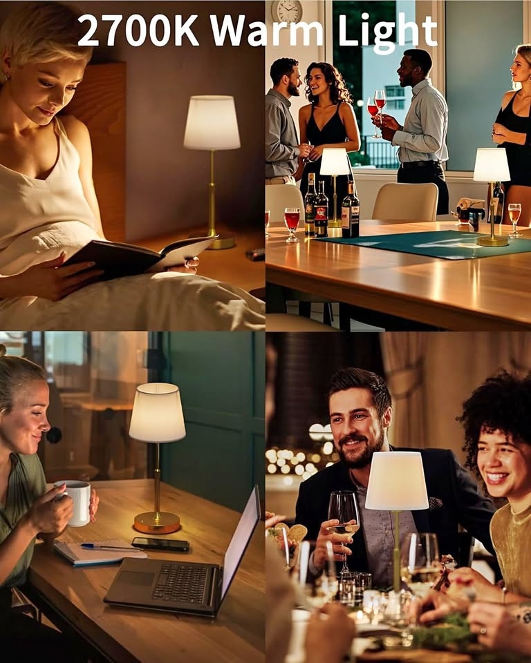 HISEEGO Cordless Table Lamp, Dimmable Touch Lamp