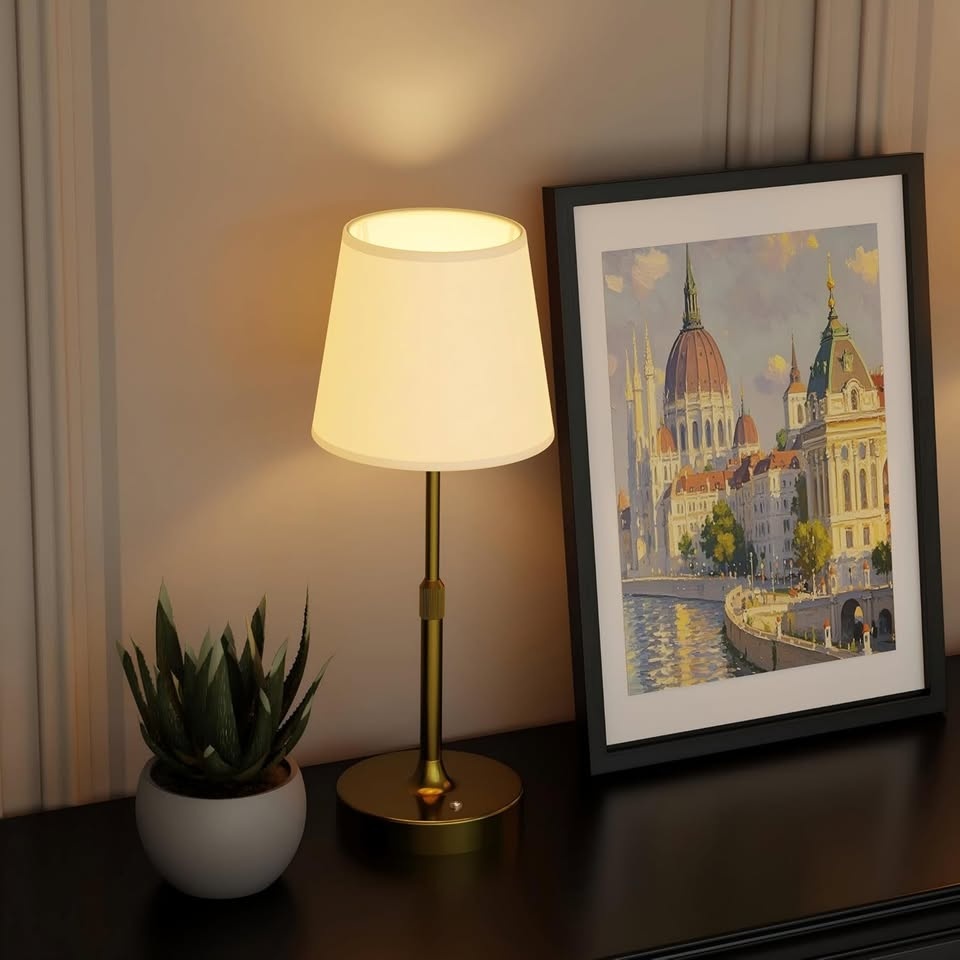 HISEEGO Cordless Table Lamp, Dimmable Touch Lamp - photo 2