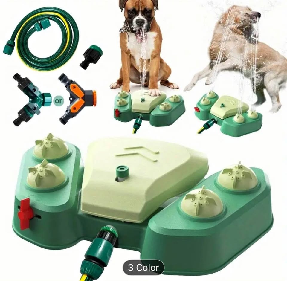Dog outdoor drinking fountain (Bayview and John)