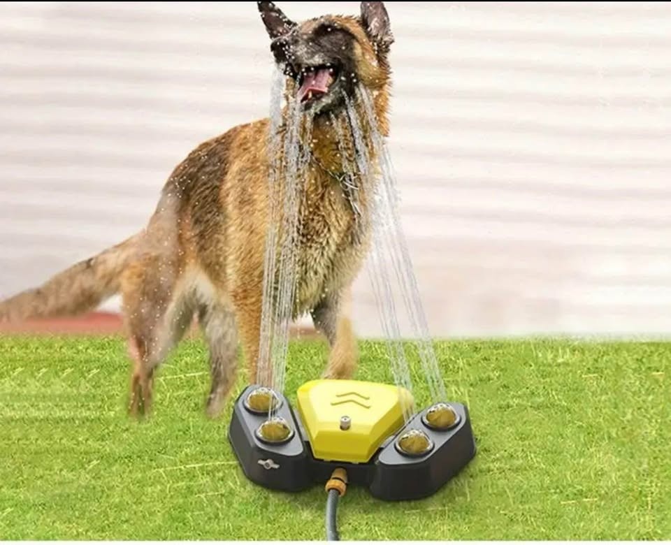 Dog outdoor drinking fountain (Bayview and John) - photo 2