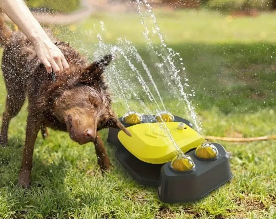 Dog outdoor drinking fountain (Bayview and John) - photo 3