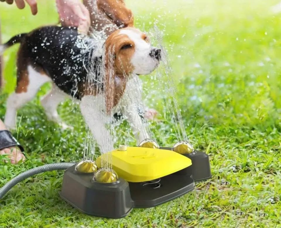 Dog outdoor drinking fountain (Bayview and John) - photo 4