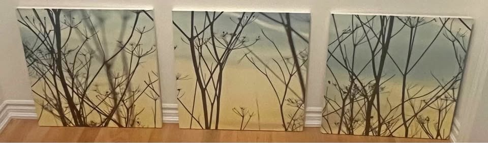 Tree Branches Mounted Art Print