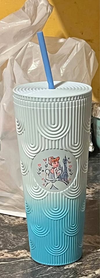 Macanoco and Co. Disney Princess Cinderella Tumbler