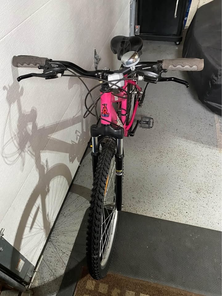 Girls Raleigh Mountain Bike - photo 3