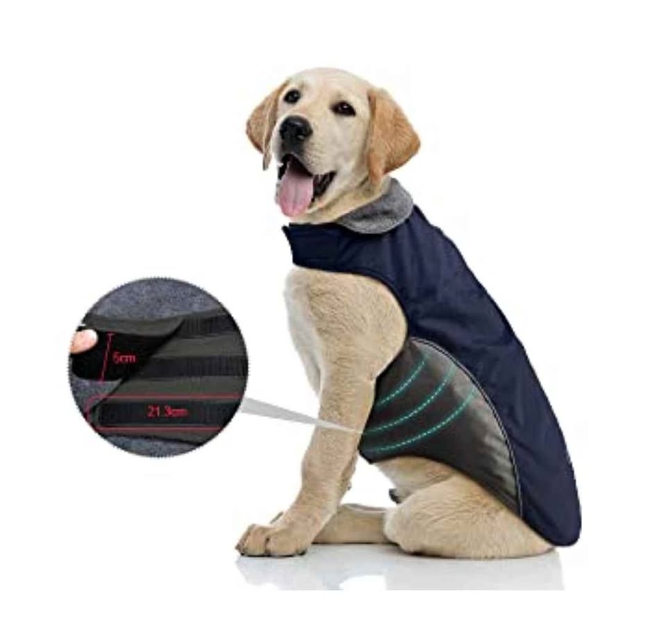 IREENUO szL Navy Blue Dog Raincoat