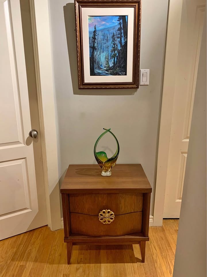 Mid century modern walnut night stand (1)