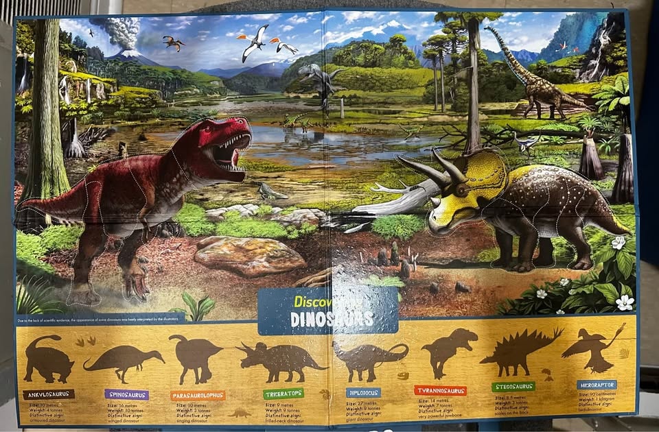 Auzou Discovering Dinosaurs Magnetic Board, Magnets and Book - photo 3