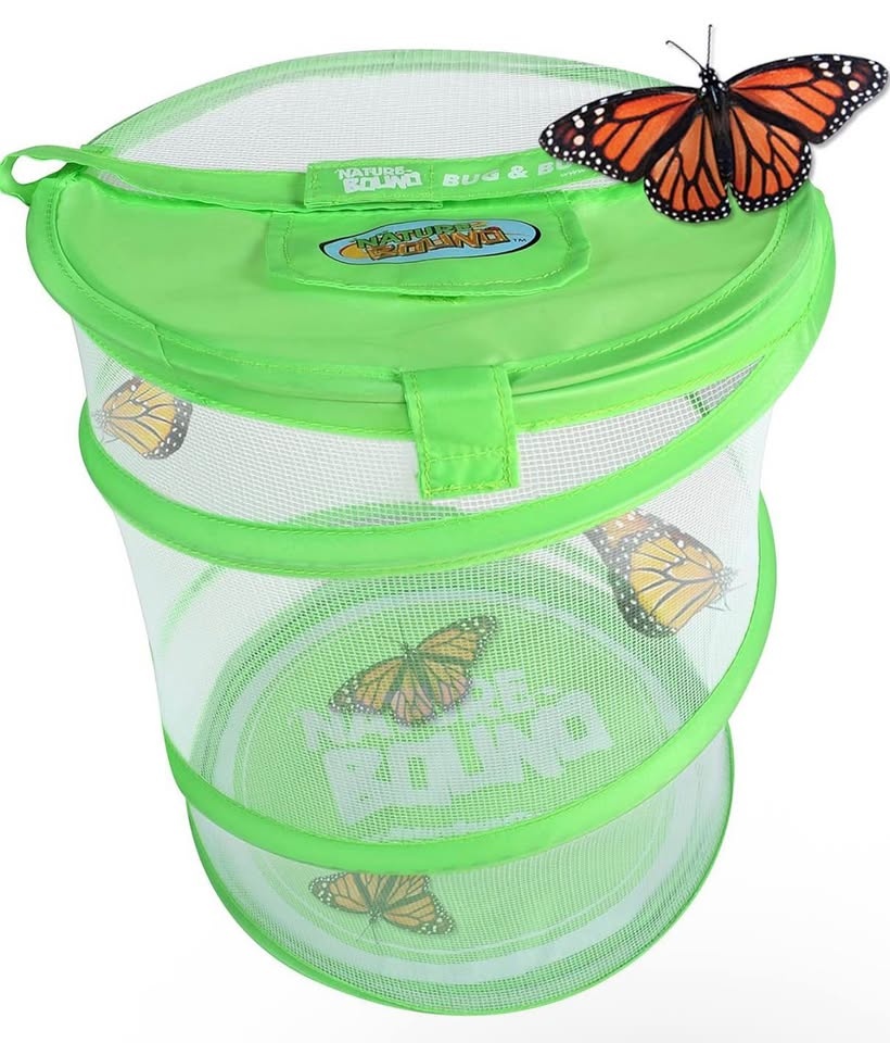 Nature Bound Live Butterfly Growing Kit - photo 3