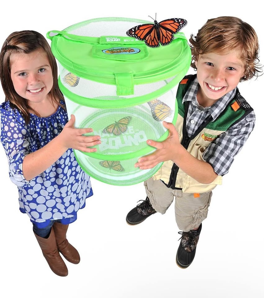 Nature Bound Live Butterfly Growing Kit - photo 4