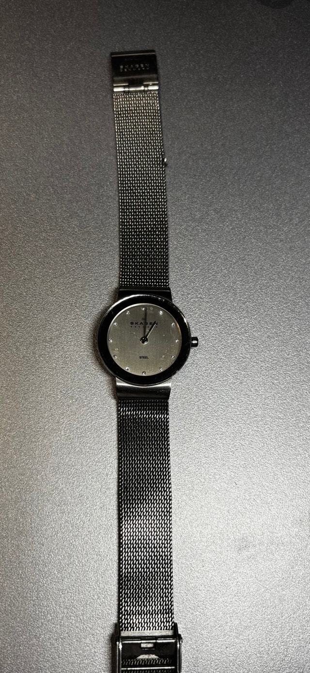 Skagen Denmark Stainless Steel Watch – Needs Battery