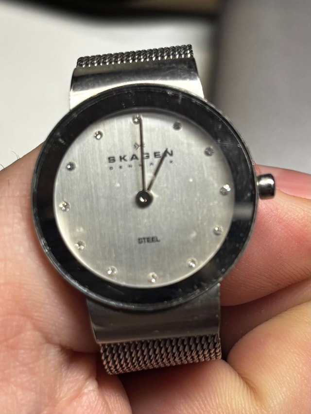 Skagen Denmark Stainless Steel Watch – Needs Battery - photo 2