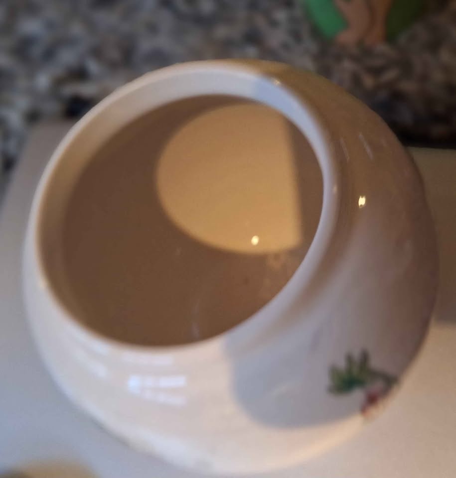 Vintage Sadler Fine China Ginger Jar - Indian Tree Design - photo 4
