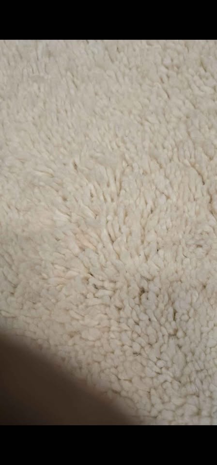 5x8 Ferah Wool Area Rug - photo 4