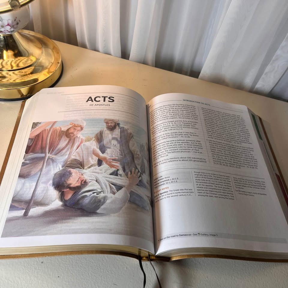 New World Translation Holy Scriptures Study Edition-Matthew-Acts - photo 5