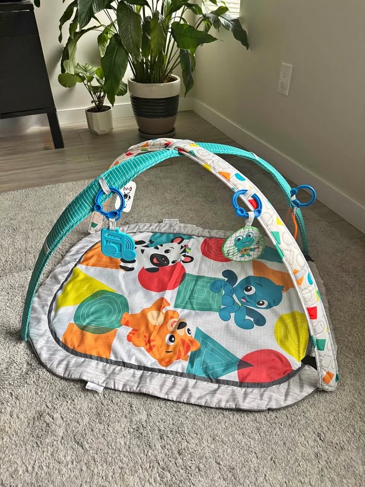 Baby Play Mat