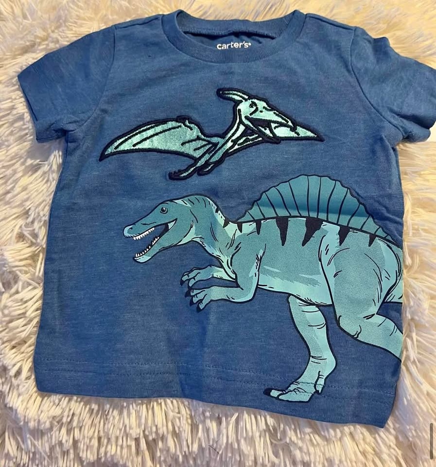 BOYS TSHIRT SIZE: 3 MONTHS PRICE:$20