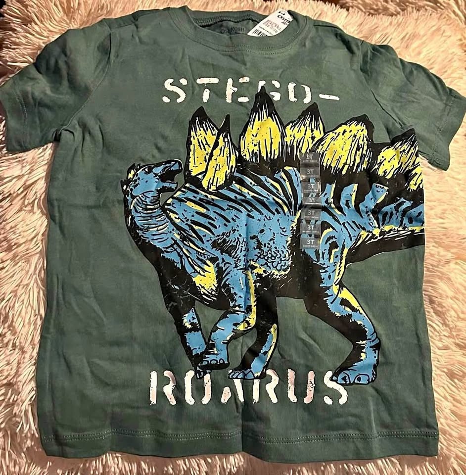 BOYS TSHIRT SIZE:3T PRICE:$20