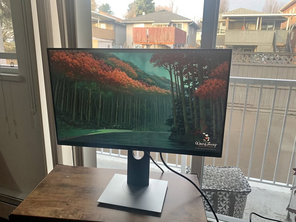 Dell S2319HS Monitor for Sale