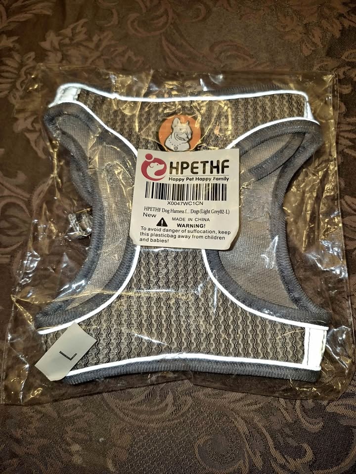 Dog Leash and Harness Set - Size Large - Brand New