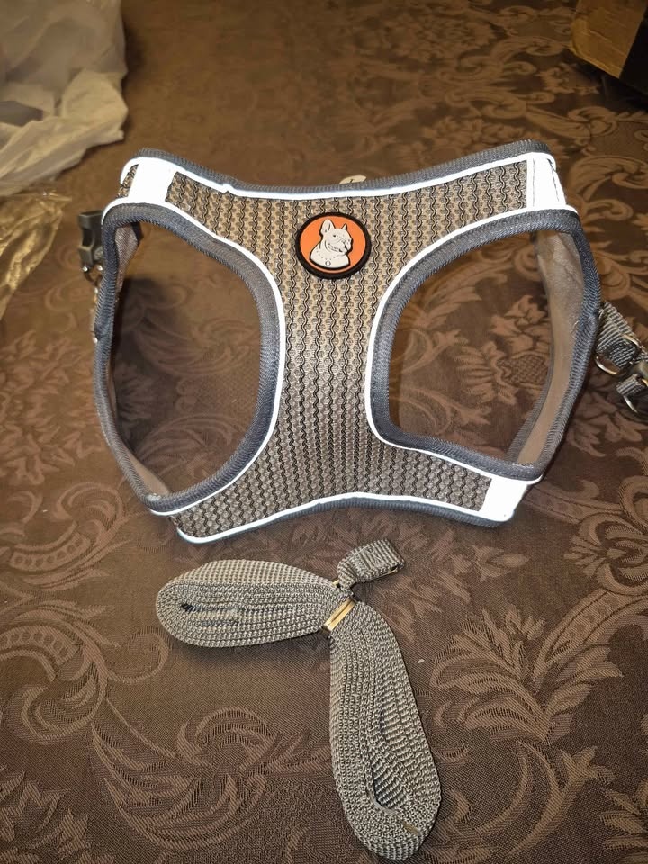 Dog Leash and Harness Set - Size Large - Brand New - photo 2