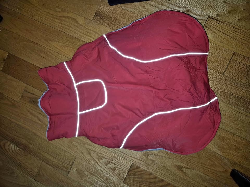 Weather resistant lined/warm dog coat - XL